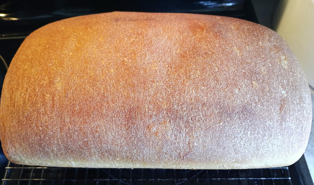 Honey Whole Wheat Bread